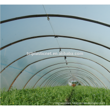 Custom wholesale new products film tomato greenhouse